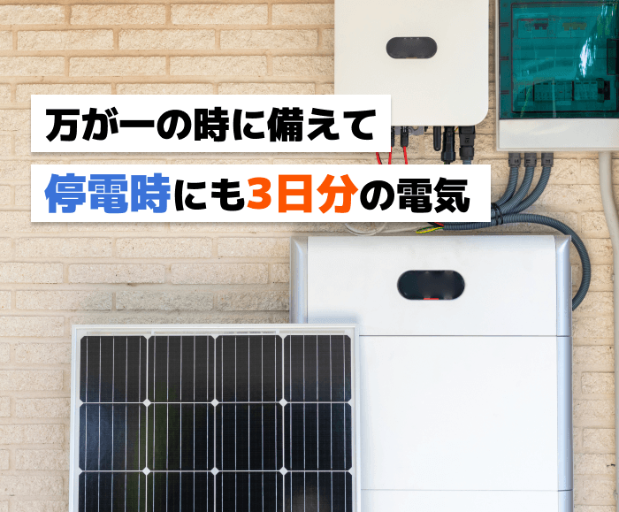 どんな害虫もお任せください