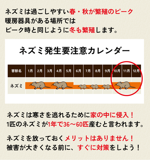 Riho様 リクエスト 3点 まとめ商品 冬冬冬様 リクエスト 2点 まとめ