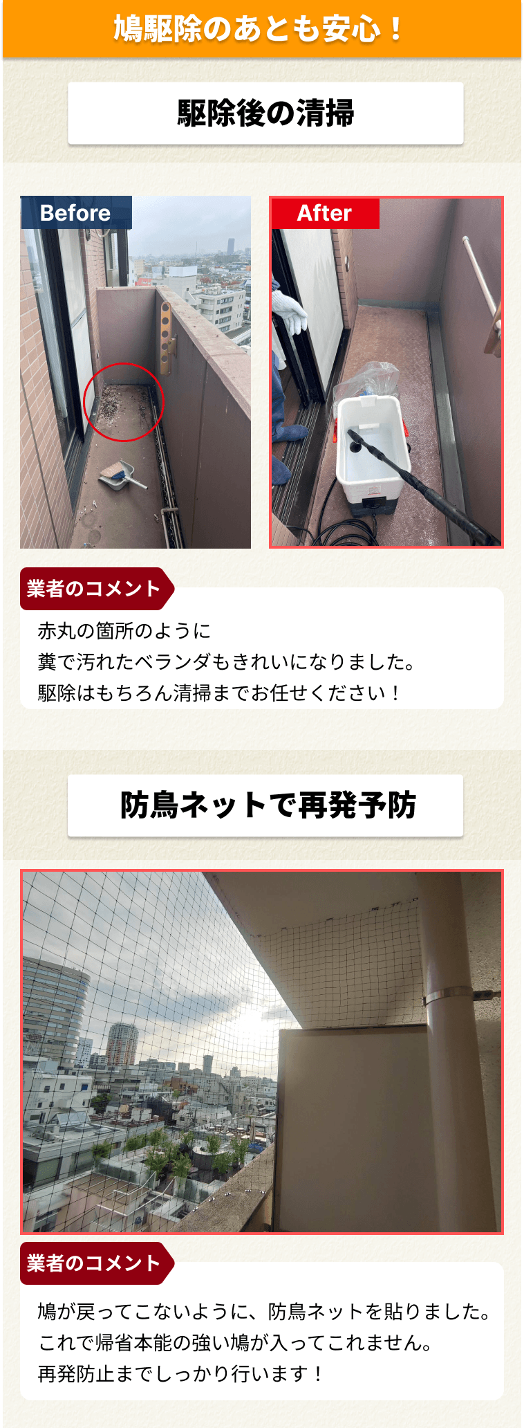 駆除後の清掃・防鳥ネットで再発予防