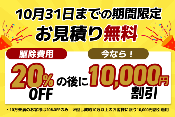 20％オフキャンペーン
