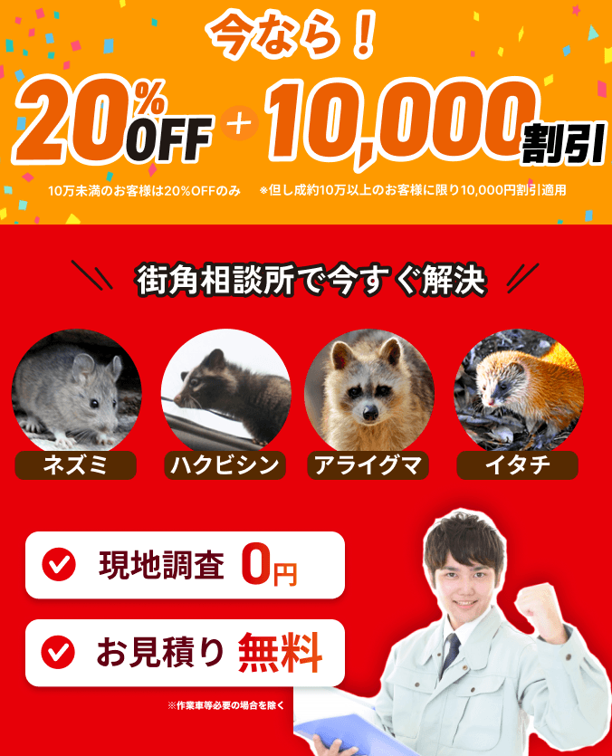 街角害獣駆除のTOP画像　オファー訴求