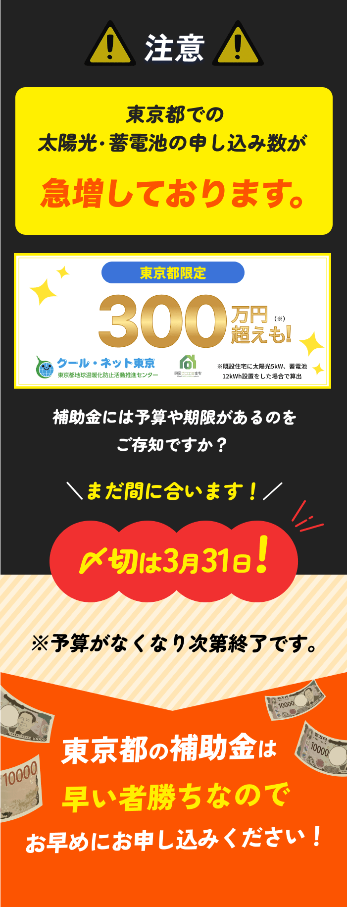 20％オフキャンペーン