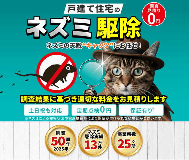 【2026年最新】ネズミ駆除に猫は効果的?猫にネズミ狩りさせる危険性・駆除方法などをご紹介 - トラブルブック