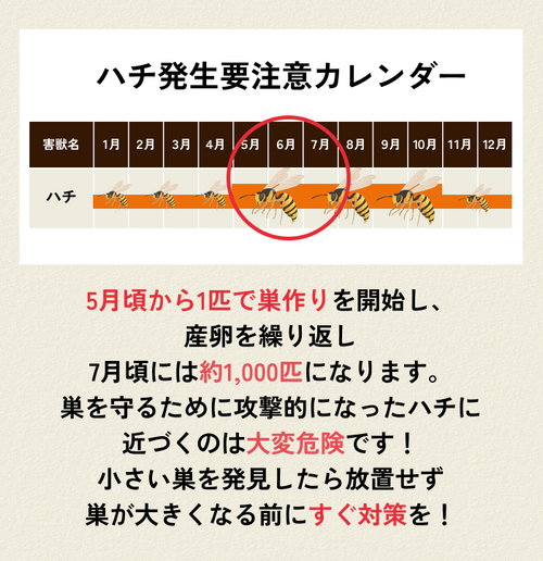 2025年最新】つくば市の蜂の巣駆除業者 おすすめ19選 | 選び方の
